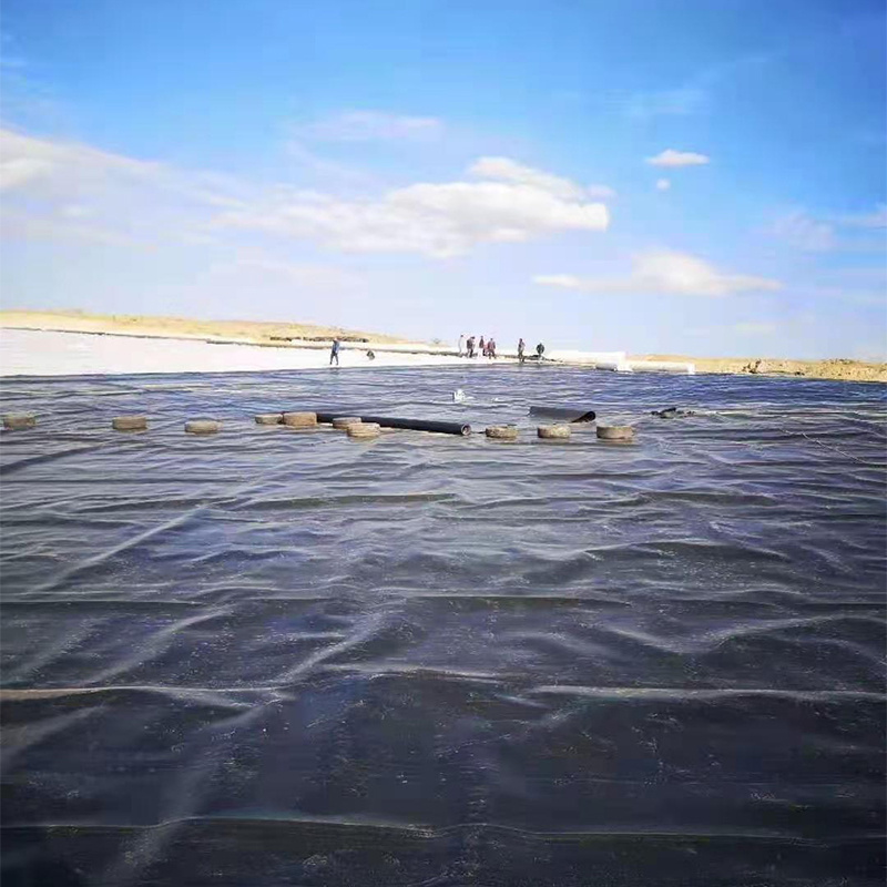 HDPE Geomembrane